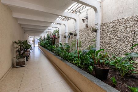 Apartamento à venda com 62m², 2 quartos e 1 vagaCozinha