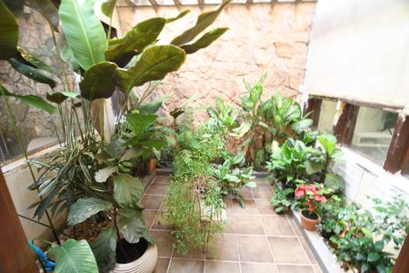 Casa à venda com 258m², 4 quartos e 2 vagasSala 1 - Jardim de Inverno