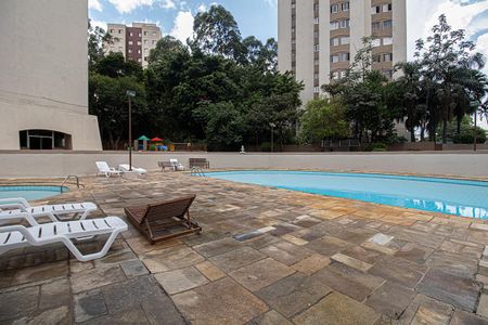 Apartamento para alugar com 64m², 2 quartos e 1 vaga Apartamento para alugar com 64m², 2 quartos e 1 vagaÁrea comum - Piscina