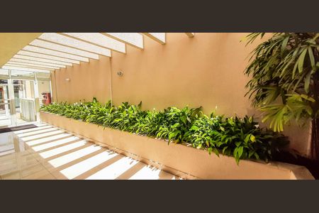 Apartamento para alugar com 84m², 3 quartos e 2 vagas Apartamento para alugar com 84m², 3 quartos e 2 vagasÁrea Verde