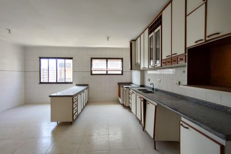 Apartamento para alugar com 232m², 4 quartos e 1 vagaCozinha