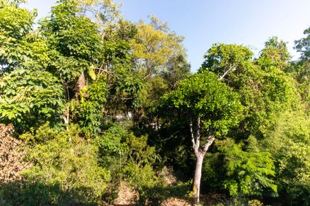 Casa de condomínio à venda com 320m², 5 quartos e 3 vagasVista do Quarto 2