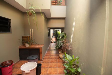 Casa para alugar com 156m², 4 quartos e 3 vagas Casa para alugar com 156m², 4 quartos e 3 vagasQuintal