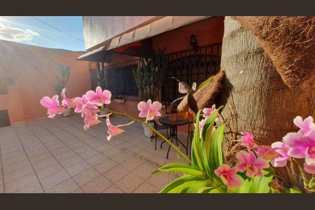 Casa para alugar com 315m², 4 quartos e 3 vagas Casa para alugar com 315m², 4 quartos e 3 vagasÁrea Externa