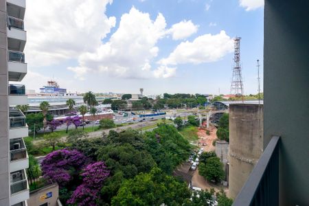 Studio para alugar com 29m², 1 quarto e sem vagaVista