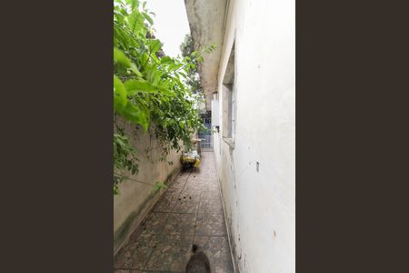 Casa à venda com 228m², 4 quartos e 1 vagaCorredor Externo