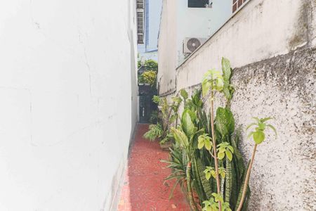 Casa à venda com 126m², 3 quartos e 2 vagasQuintal