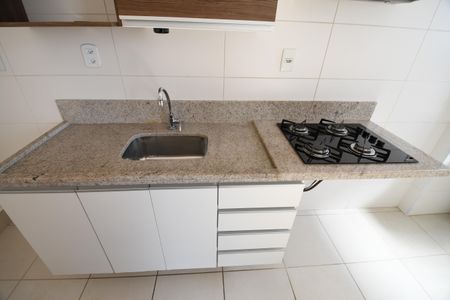 Apartamento para alugar com 67m², 2 quartos e 2 vagasCozinha