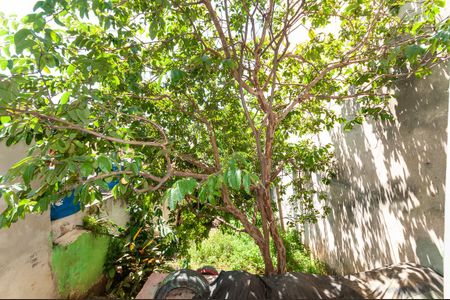 Casa à venda com 160m², 4 quartos e 1 vagaQuintal