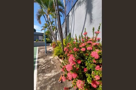 Casa para alugar com 350m², 4 quartos e 3 vagasjardim