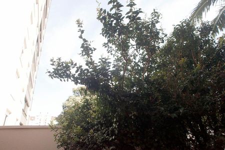 Apartamento à venda com 114m², 3 quartos e 1 vagaQuarto 2 Vista