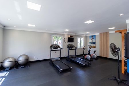 Apartamento à venda com 109m², 3 quartos e 2 vagas Apartamento à venda com 109m², 3 quartos e 2 vagasAcademia