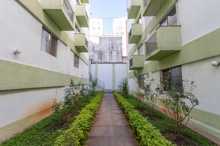 Apartamento à venda com 65m², 2 quartos e 1 vagaÁrea comum