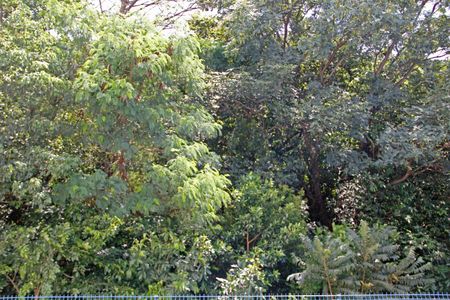 Apartamento para alugar com 49m², 2 quartos e 1 vagaQuarto 1 Vista