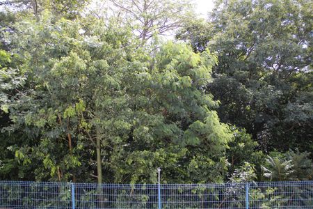 Apartamento para alugar com 49m², 2 quartos e 1 vagaQuarto 2 Vista