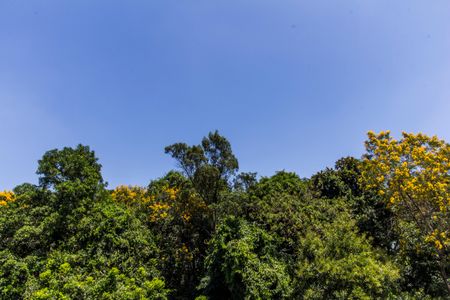 Casa de condomínio para alugar com 672m², 5 quartos e 6 vagasVista da Varanda