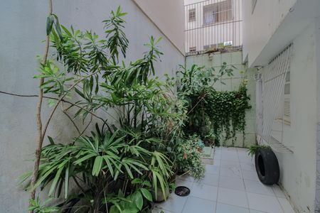 Apartamento à venda com 300m², 6 quartos e sem vaga Apartamento à venda com 300m², 6 quartos e sem vagaJardim / Cisterna