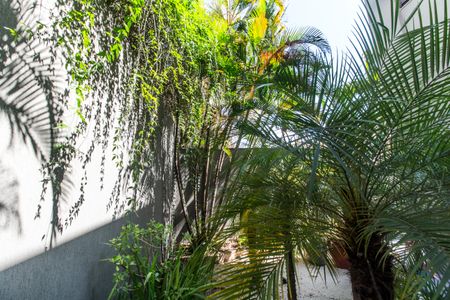 Casa de condomínio à venda com 598m², 4 quartos e 4 vagas Casa de condomínio à venda com 598m², 4 quartos e 4 vagasQuintal