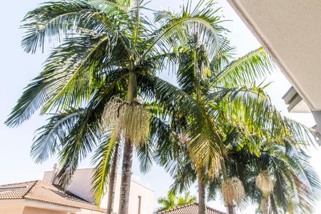 Casa de condomínio à venda com 598m², 4 quartos e 4 vagas Casa de condomínio à venda com 598m², 4 quartos e 4 vagasVista da Suíte