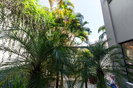 Casa de condomínio à venda com 598m², 4 quartos e 4 vagas Casa de condomínio à venda com 598m², 4 quartos e 4 vagasQuintal