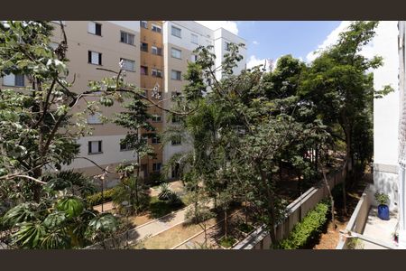 Apartamento para alugar com 46m², 2 quartos e 1 vagaVista do Quarto 1