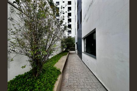 Apartamento para alugar com 216m², 3 quartos e 3 vagasÁrea Comum - Área externa