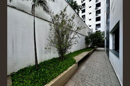 Apartamento para alugar com 216m², 3 quartos e 3 vagasÁrea Comum - Área externa