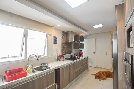 Apartamento à venda com 240m², 4 quartos e 3 vagasCozinha