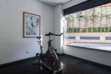 Apartamento à venda com 240m², 3 quartos e 3 vagasÁrea comum - Academia