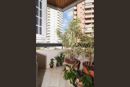 Apartamento à venda com 240m², 3 quartos e 3 vagasSuíte 1