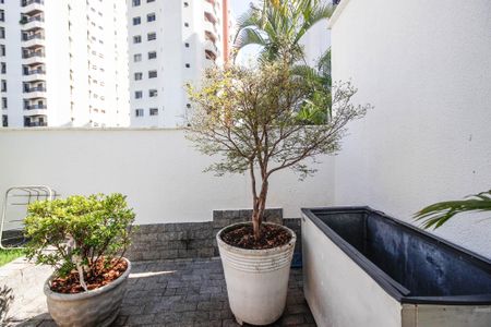 Casa à venda com 700m², 3 quartos e 5 vagasÁrea Externa