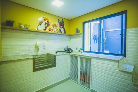 Apartamento para alugar com 34m², 2 quartos e sem vaga Apartamento para alugar com 34m², 2 quartos e sem vagaÁrea comum - dog shower