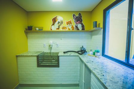 Apartamento para alugar com 34m², 2 quartos e sem vaga Apartamento para alugar com 34m², 2 quartos e sem vagaÁrea comum - dog shower