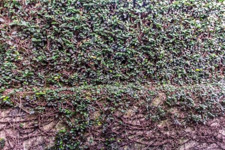 Casa de condomínio para alugar com 480m², 4 quartos e 6 vagasVista