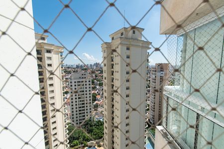 Apartamento para alugar com 342m², 4 quartos e 4 vagas Apartamento para alugar com 342m², 4 quartos e 4 vagasVista da suíte 2