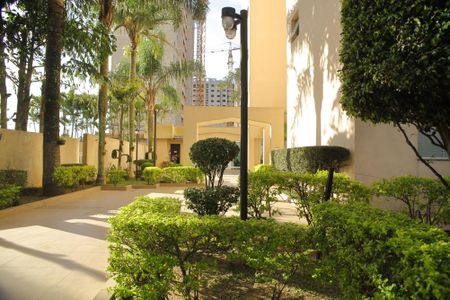 Apartamento à venda com 72m², 3 quartos e 2 vagasÁrea comum