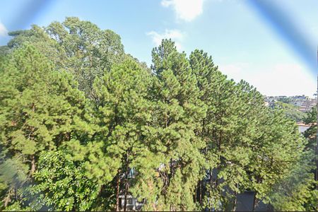 Apartamento à venda com 54m², 2 quartos e 1 vagaVista do Quarto 1