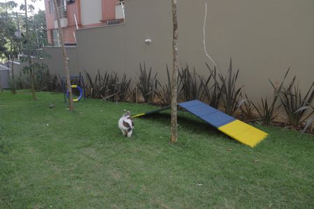 Apartamento à venda com 40m², 1 quarto e 1 vagaÁrea comum - Pet Place