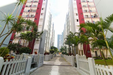 Apartamento para alugar com 50m², 2 quartos e 1 vaga Apartamento para alugar com 50m², 2 quartos e 1 vagaÁrea comum