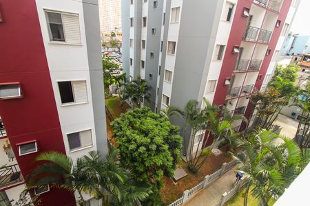 Apartamento para alugar com 50m², 2 quartos e 1 vaga Apartamento para alugar com 50m², 2 quartos e 1 vagaVista do Quarto 2