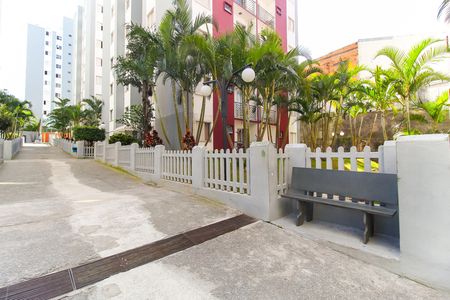 Apartamento para alugar com 50m², 2 quartos e 1 vaga Apartamento para alugar com 50m², 2 quartos e 1 vagaÁrea comum