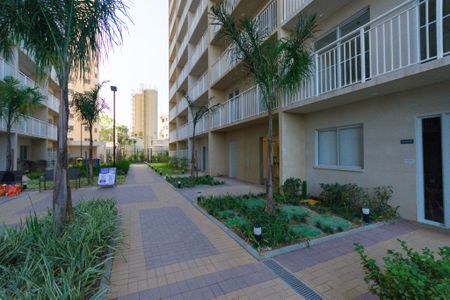 Apartamento para alugar com 31m², 1 quarto e sem vagaÁrea comum