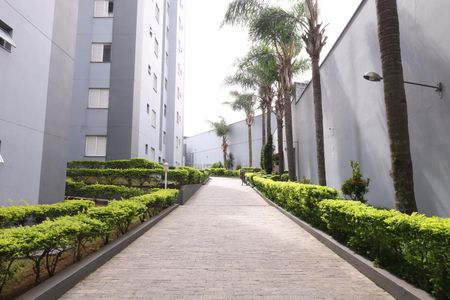 Apartamento à venda com 50m², 2 quartos e 1 vagaÁrea comum