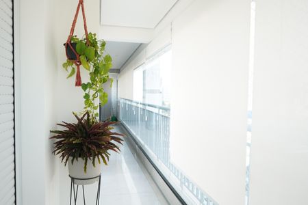 Apartamento à venda com 119m², 3 quartos e 2 vagasSacada