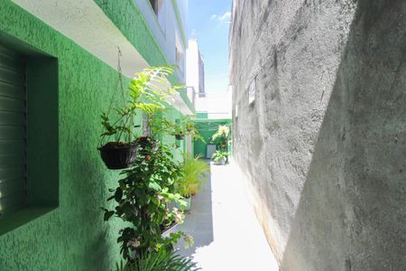 Casa à venda com 253m², 3 quartos e 2 vagasQuintal