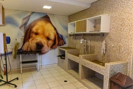 Apartamento à venda com 49m², 2 quartos e 1 vagapet