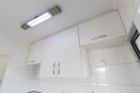 Apartamento para alugar com 60m², 2 quartos e 1 vagaCozinha - Armários