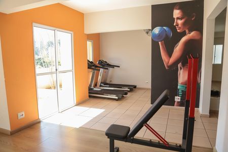 Apartamento para alugar com 60m², 2 quartos e 1 vaga Apartamento para alugar com 60m², 2 quartos e 1 vagaÁrea comum - Academia
