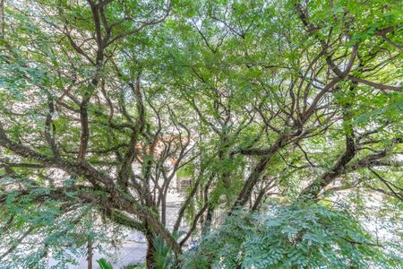 Apartamento à venda com 100m², 3 quartos e 1 vagaVista da Varanda