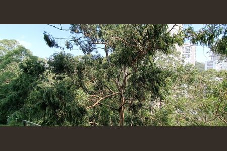 Apartamento à venda com 223m², 3 quartos e 4 vagasVista Suíte master